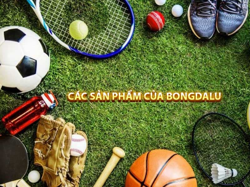 Bongdalu 173 Bóng rổ