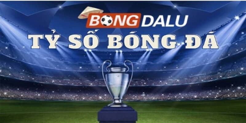 Bongdalu 175 Tính năng tìm kiếm thông tin