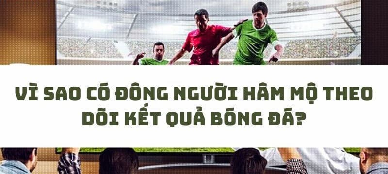 Kết quả bóng đá Bongdalu | Xem kqbd Bongdalu nhanh nhất 27 Vì sao người hâm mộ theo dõi kết quả bóng đá tại Bongdalu