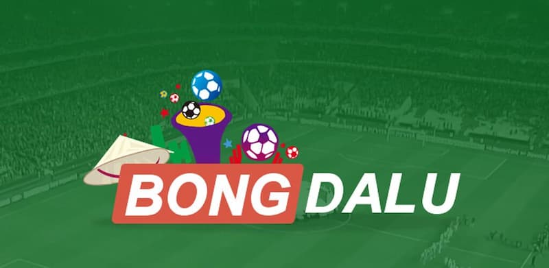 Liên hệ Bongdalu: Hỗ trợ bet thủ nhanh chóng 24/7 2 Liên lạc qua trang web
